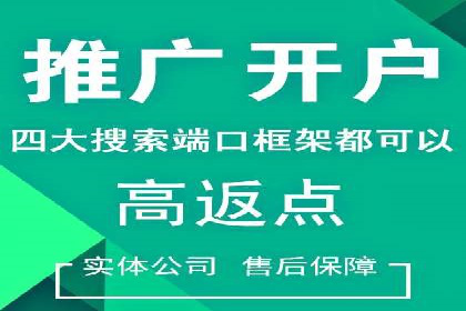案例解读：SEM推广托管助力品牌崛起
